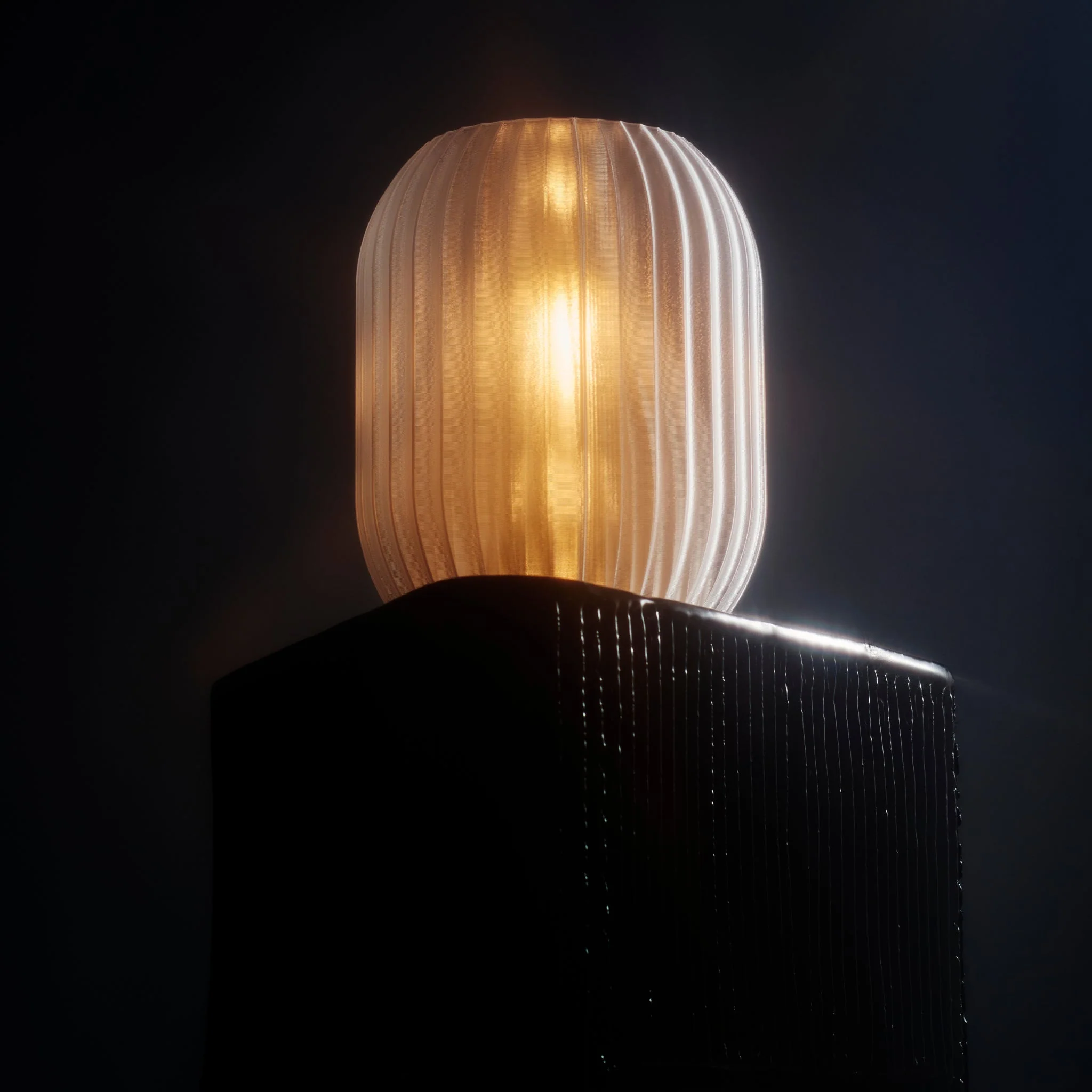 Allium Lamp - Image 16