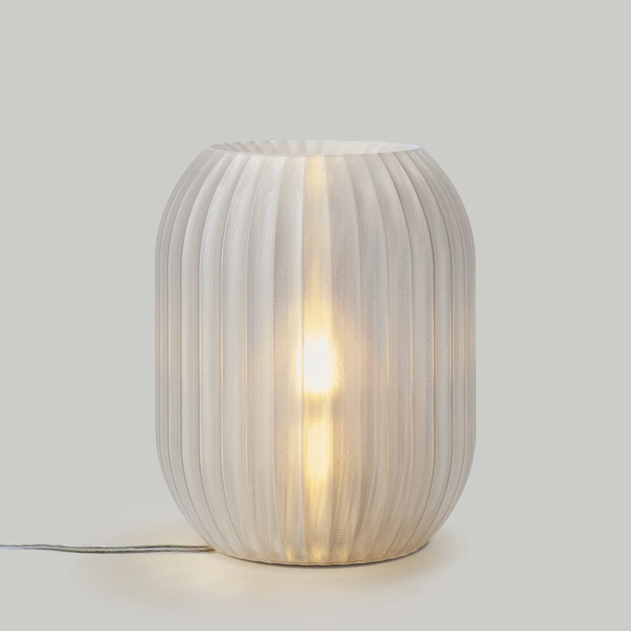 Allium Lamp - Image 18