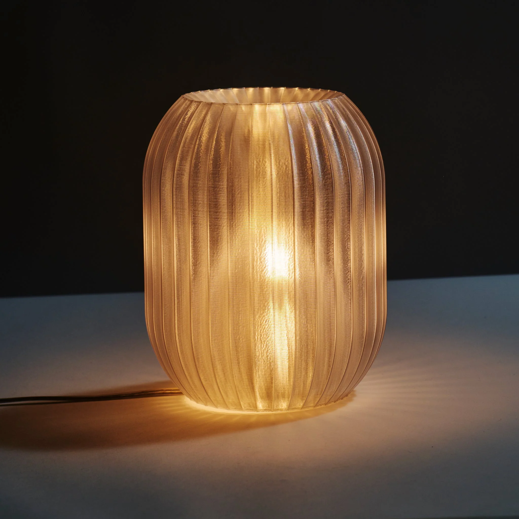 Allium Lamp - Image 19
