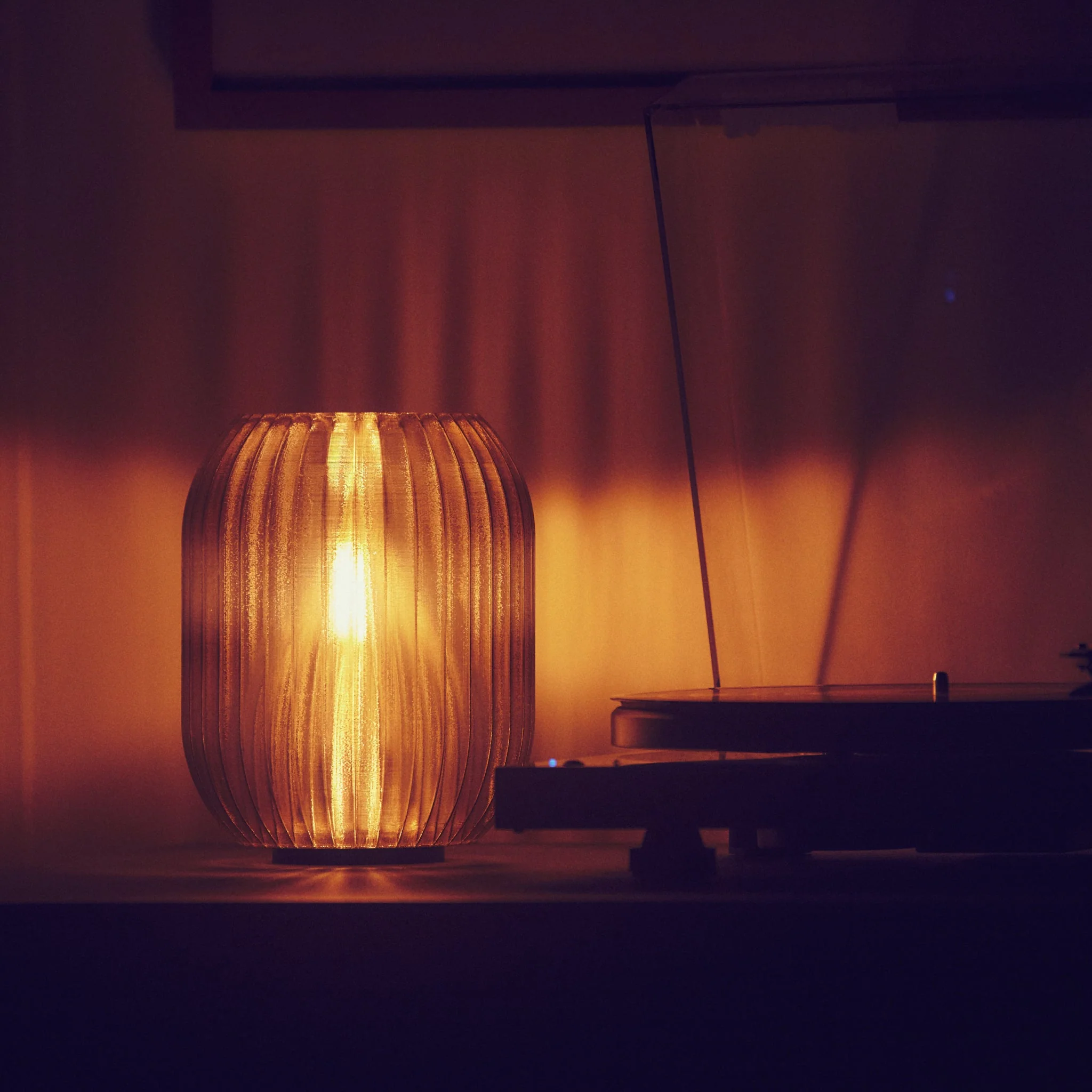 Allium Lamp - Image 4