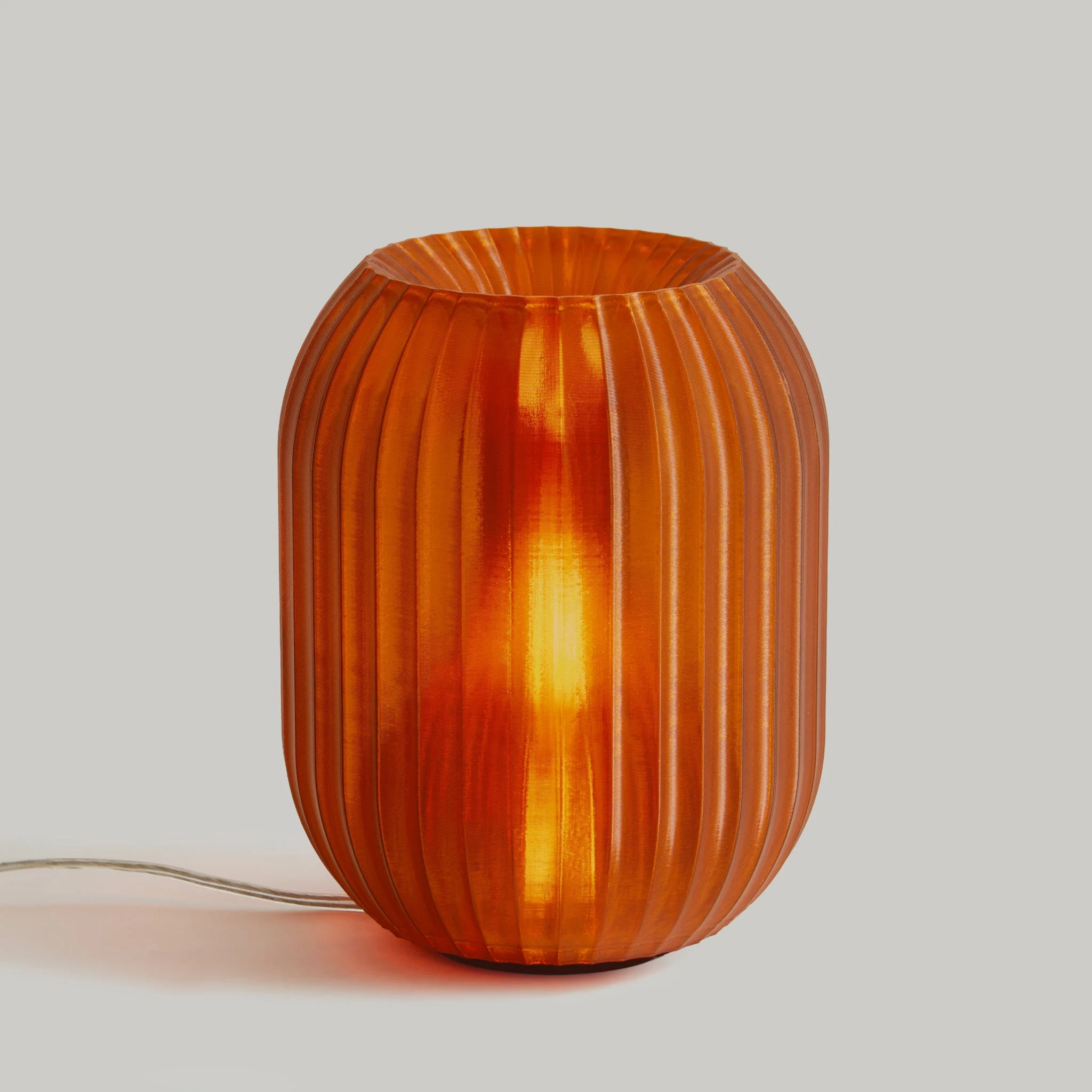 Allium Lamp - Image 9