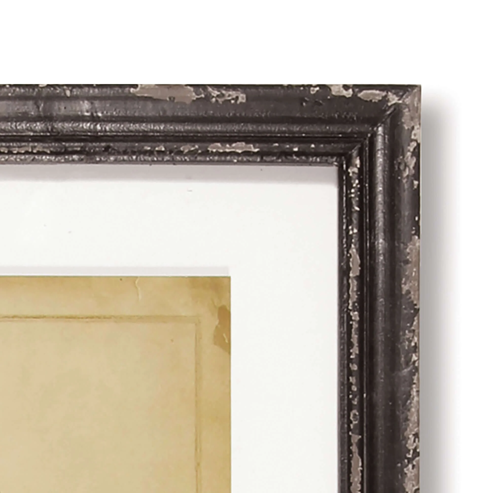 Antique Framed Botanical Fern Prints (Set of 8) - Image 2