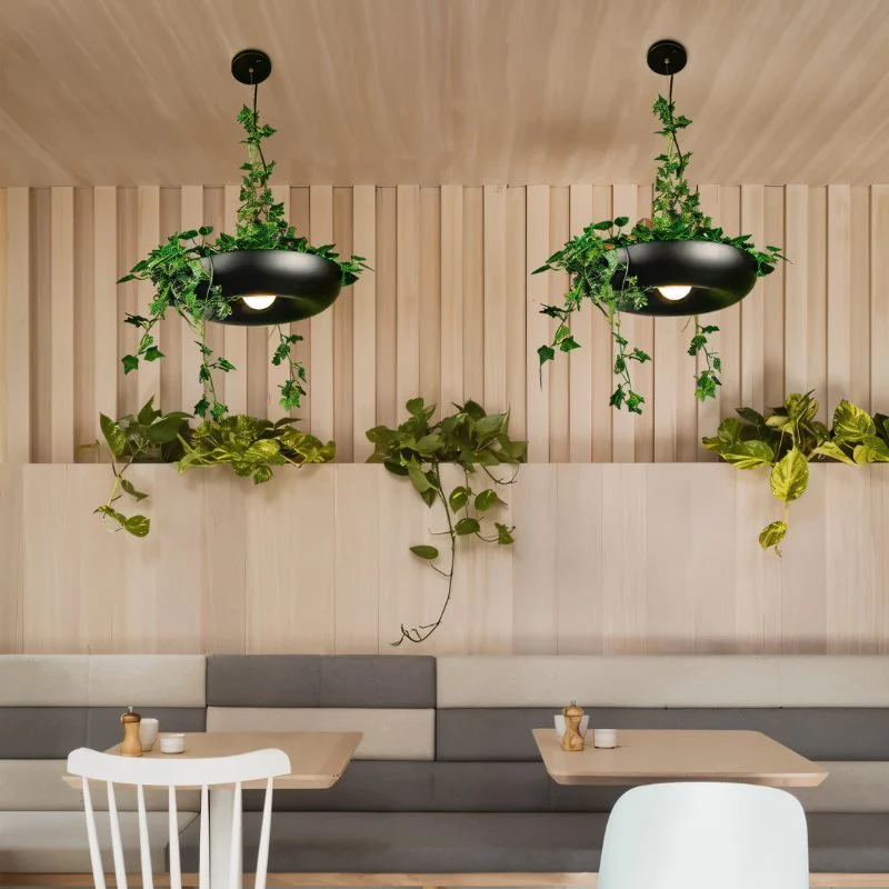 Aula Pendant Light - Image 5