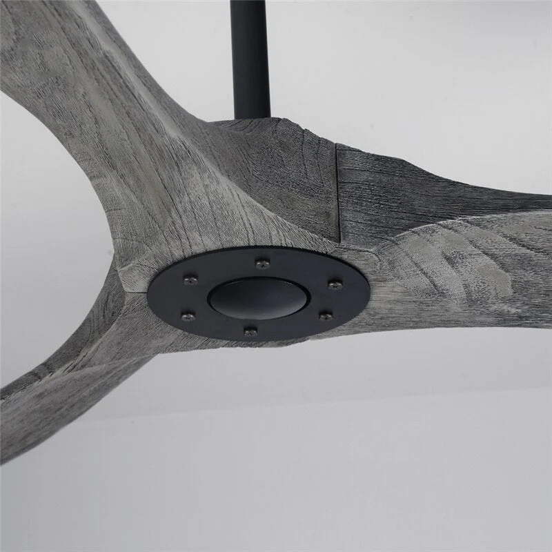 Auretta Ceiling Fan - Image 3