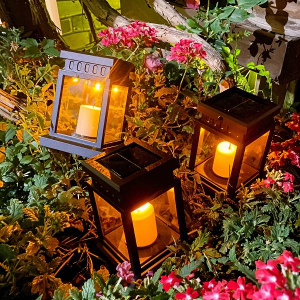 Dixon Outdoor Garden Lamp - Image 6