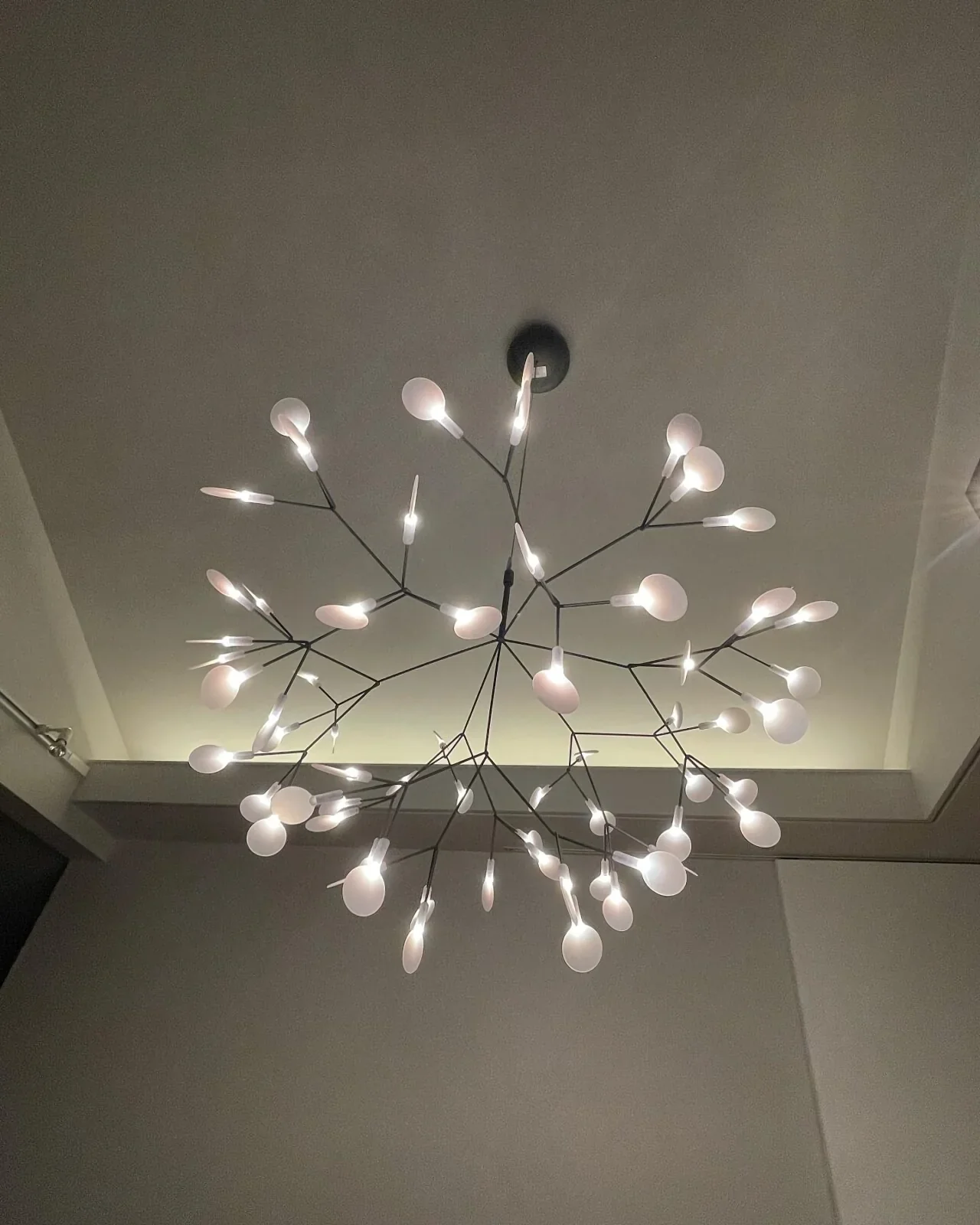 Firefly LED Chandelier - Image 49