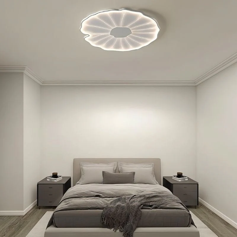 Fyntor Ceiling Light