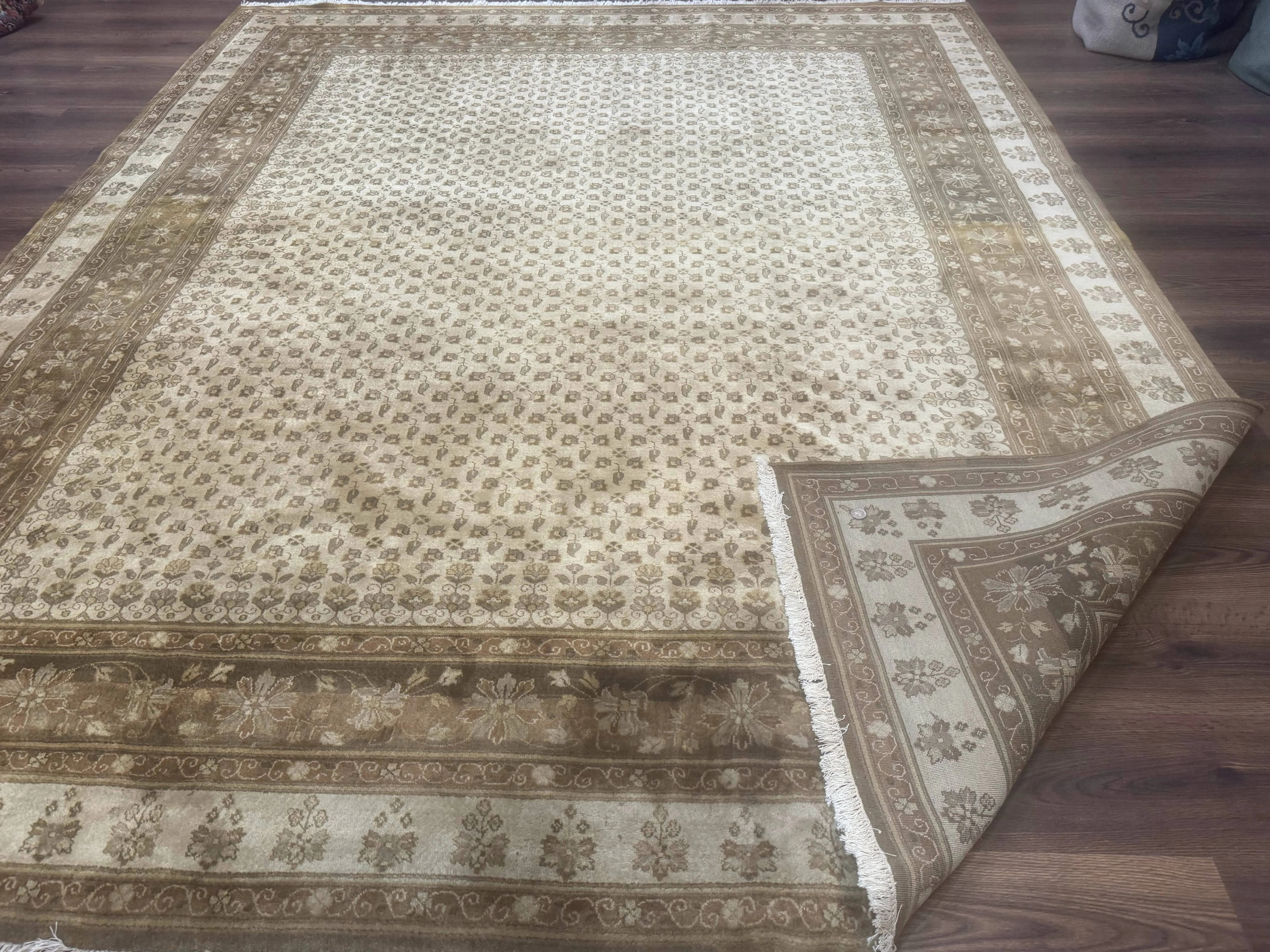 Indo Persian Rug 8x10, Allover Pattern, Beige, Wool Handmade Carpet - Image 12