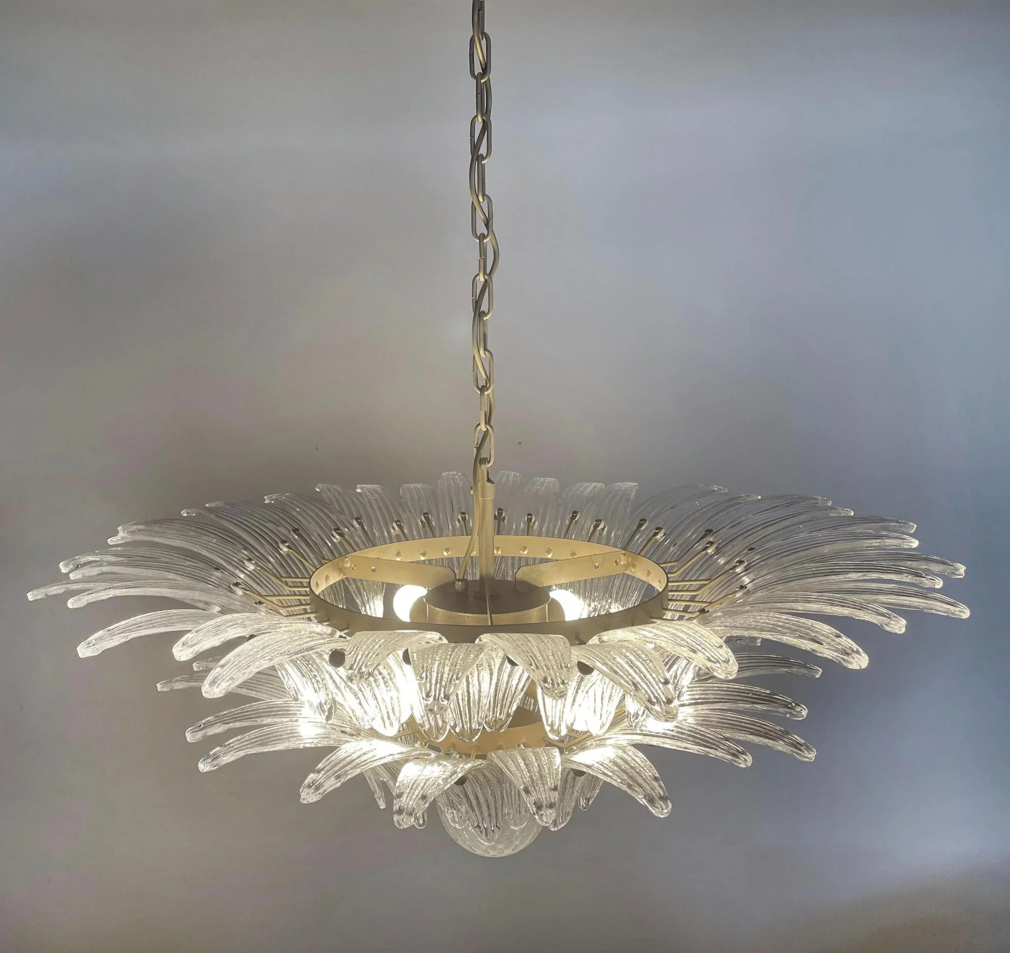 Murano Palmette Transparent Chandelier - Image 10