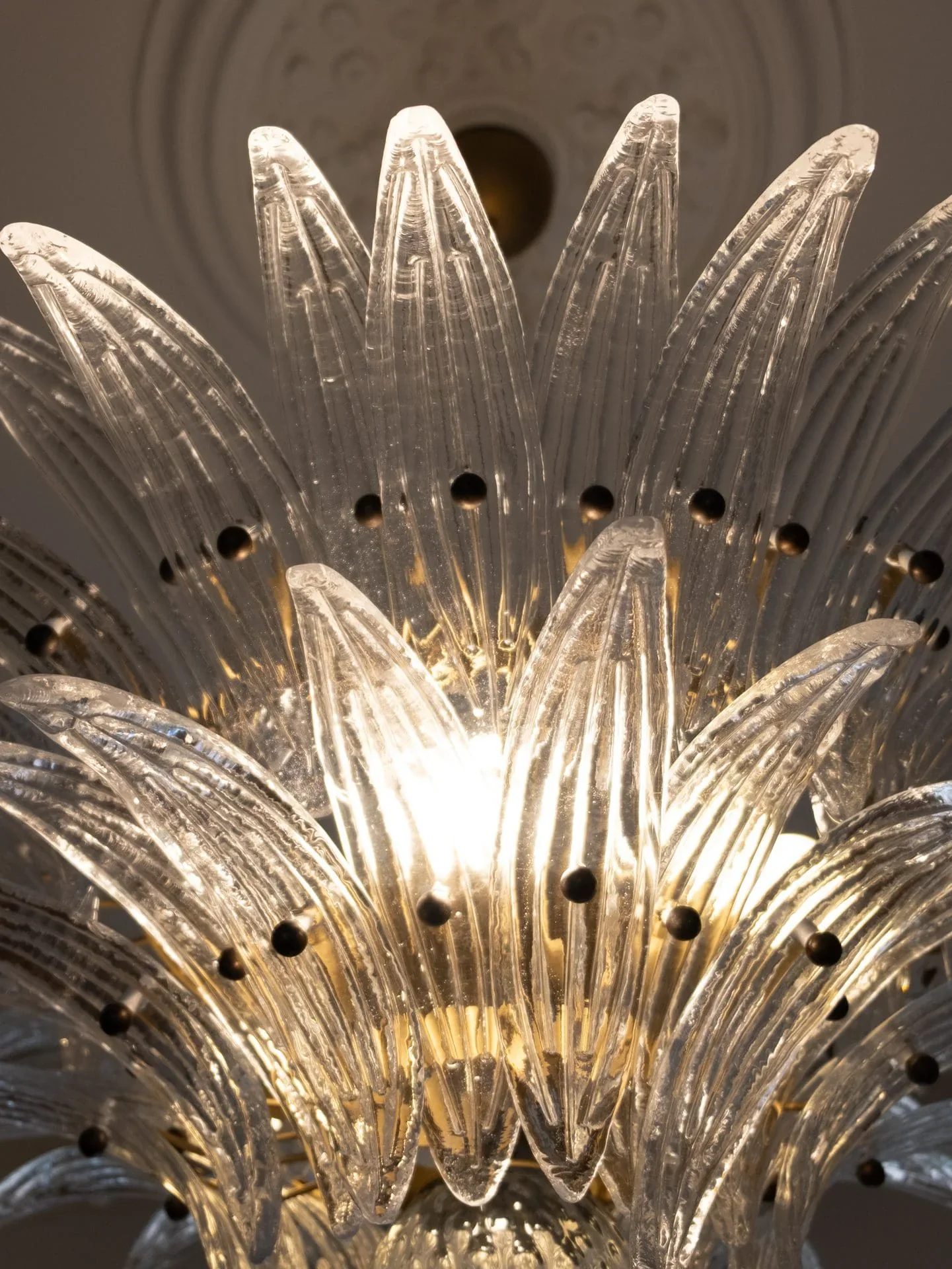 Murano Palmette Transparent Chandelier - Image 14