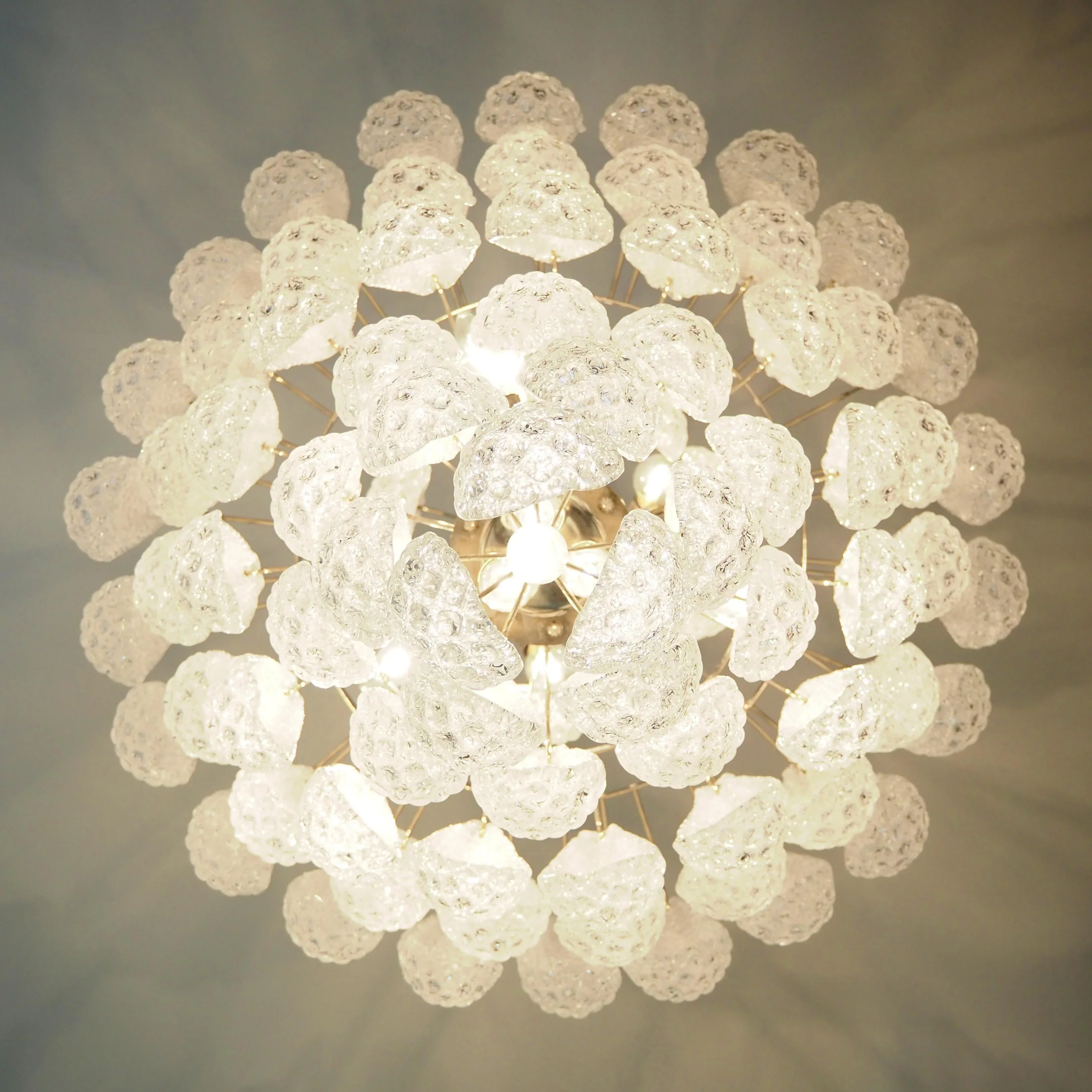 Murano Transparent Petals Glass Chandelier - Image 16