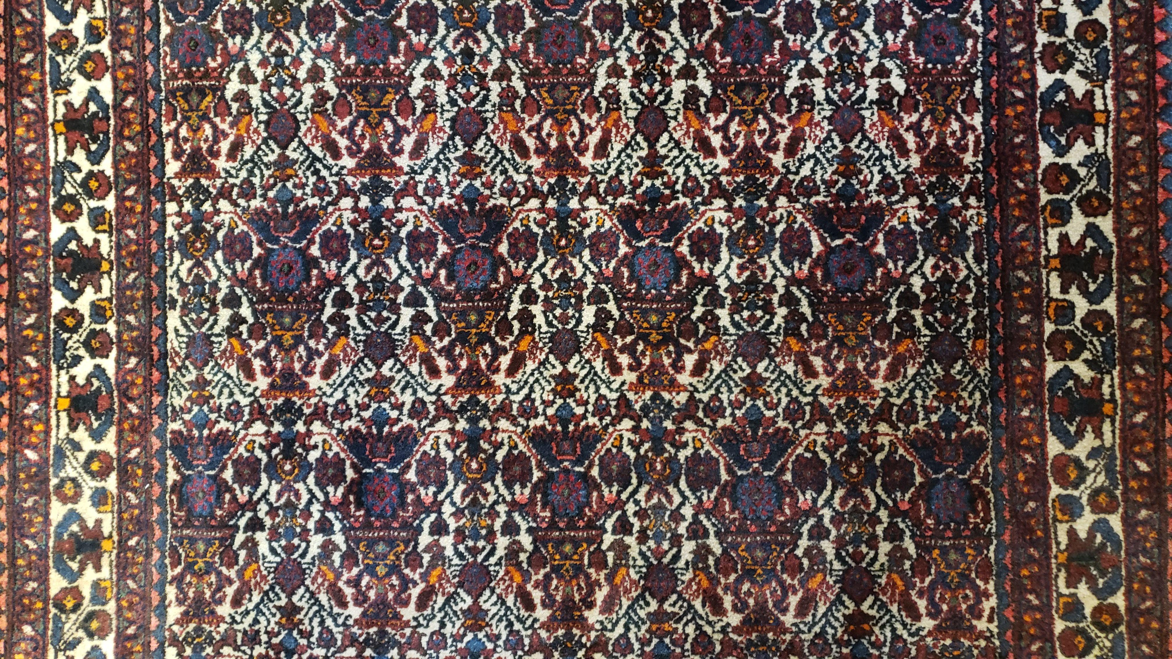 Persian Afshar Rug 3.6 x 5, Zili Sultan Pattern, Wool - Image 5