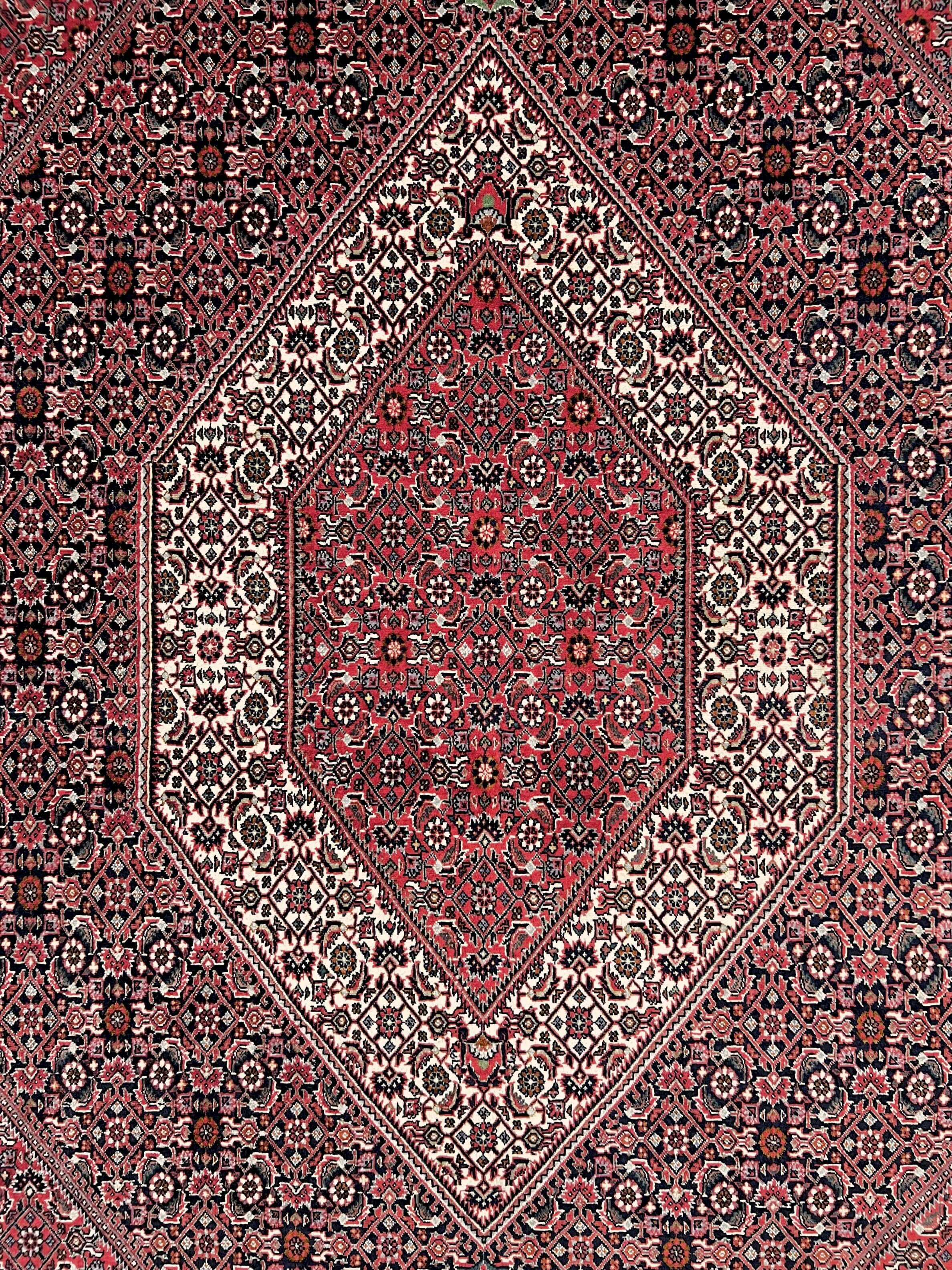 Bijar (6'07"x9'05") red/indigo - Image 12