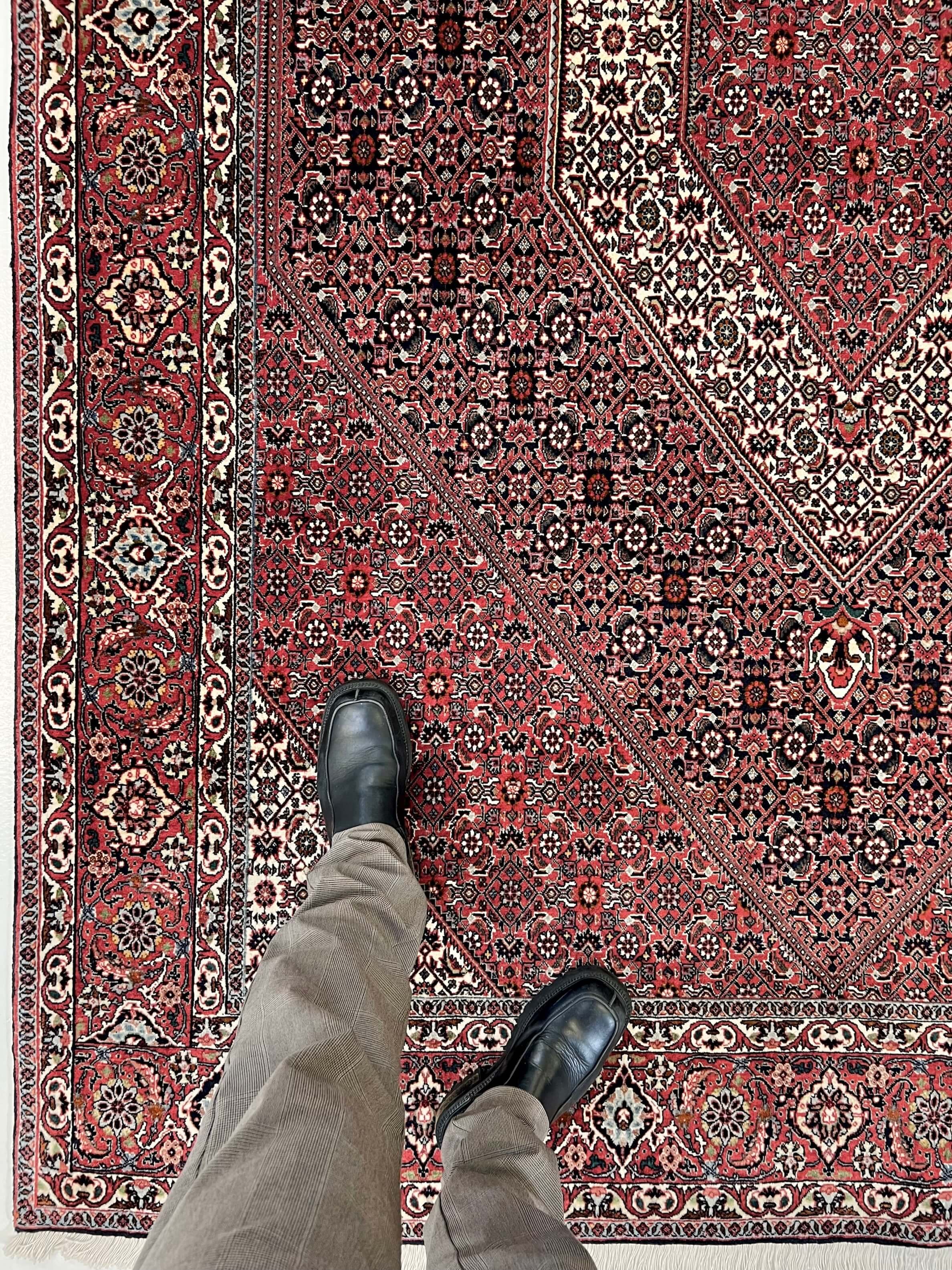 Bijar (6'07"x9'05") red/indigo - Image 13