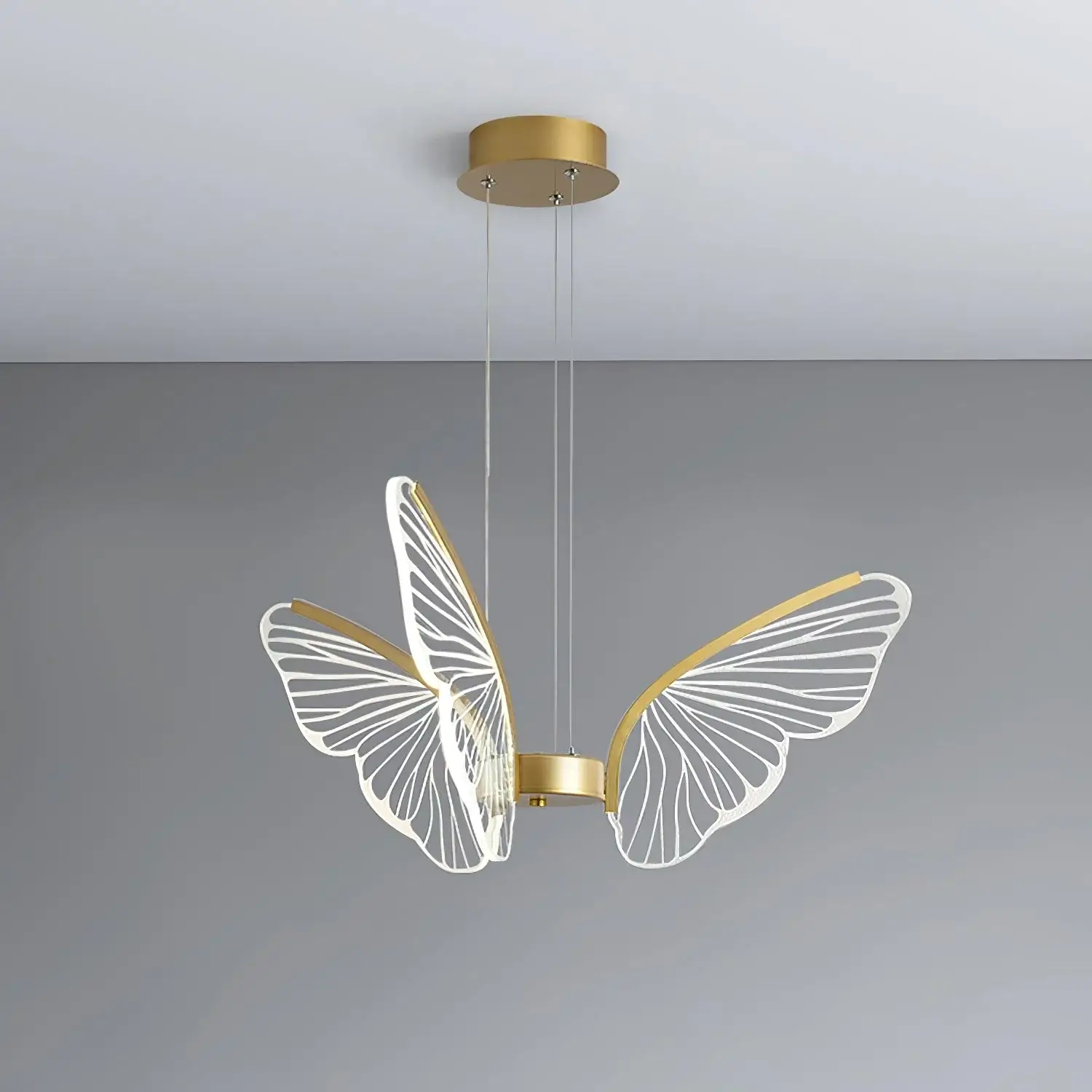 Phalaenopsis Chandelier - Image 20
