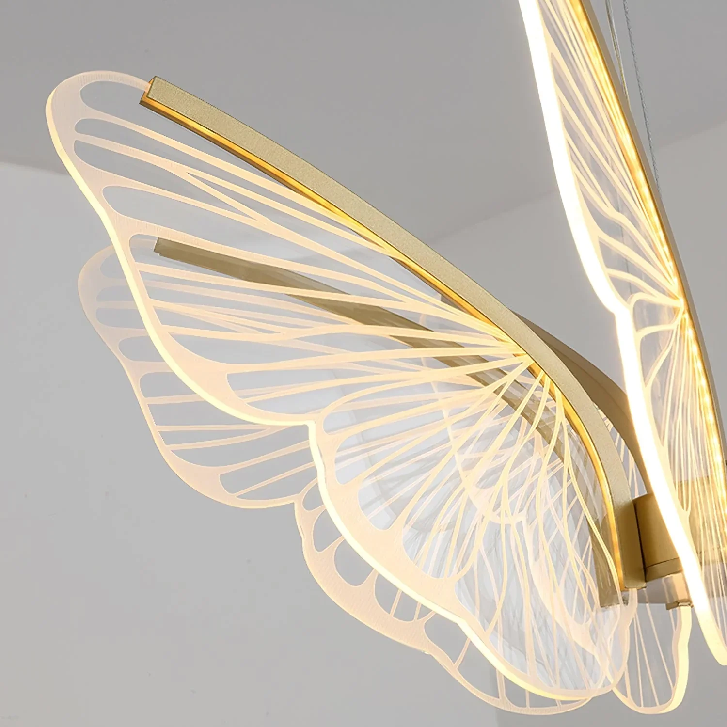 Phalaenopsis Chandelier - Image 28