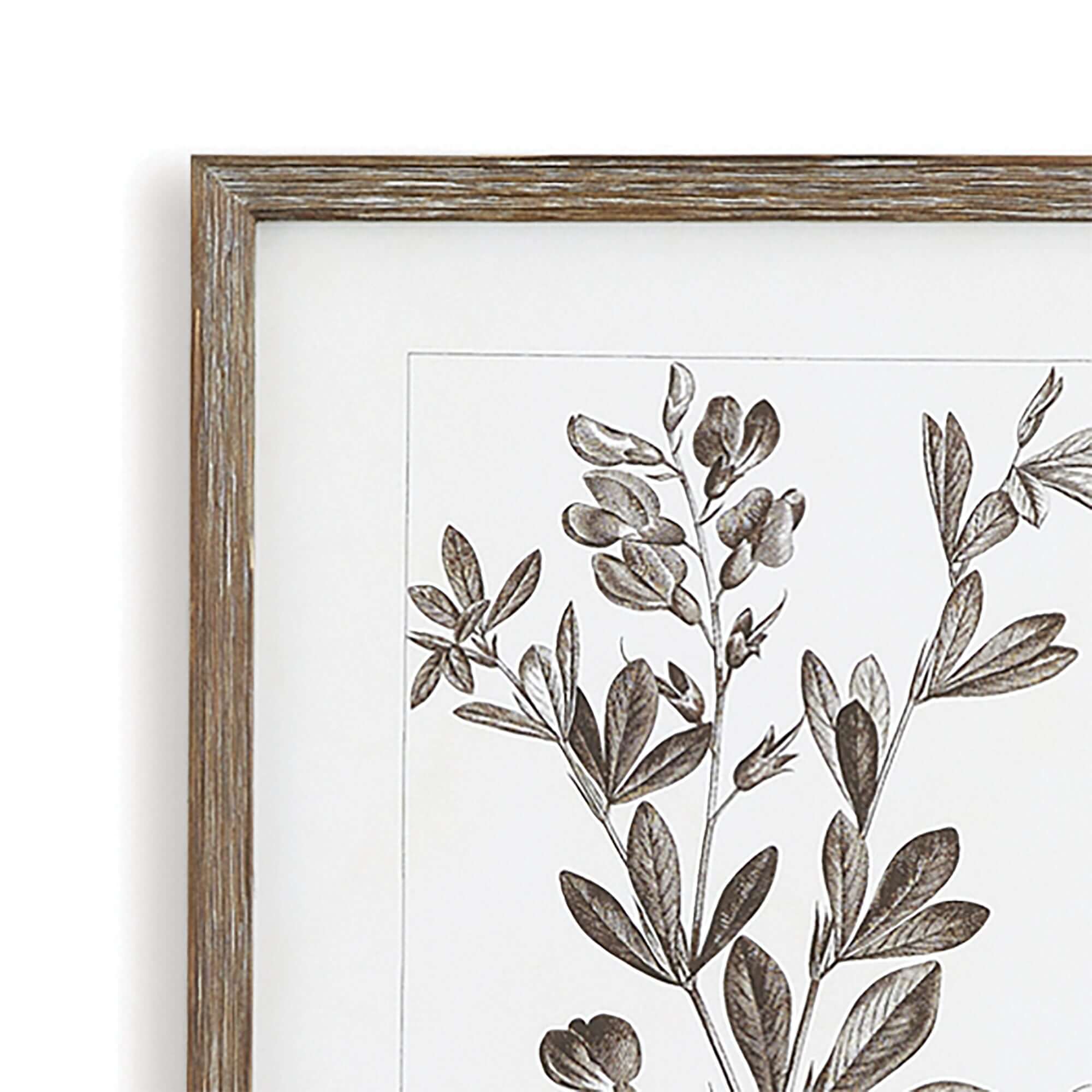 Rustic Botanical Sepia Wall Art Prints (Set of 9) - Image 2