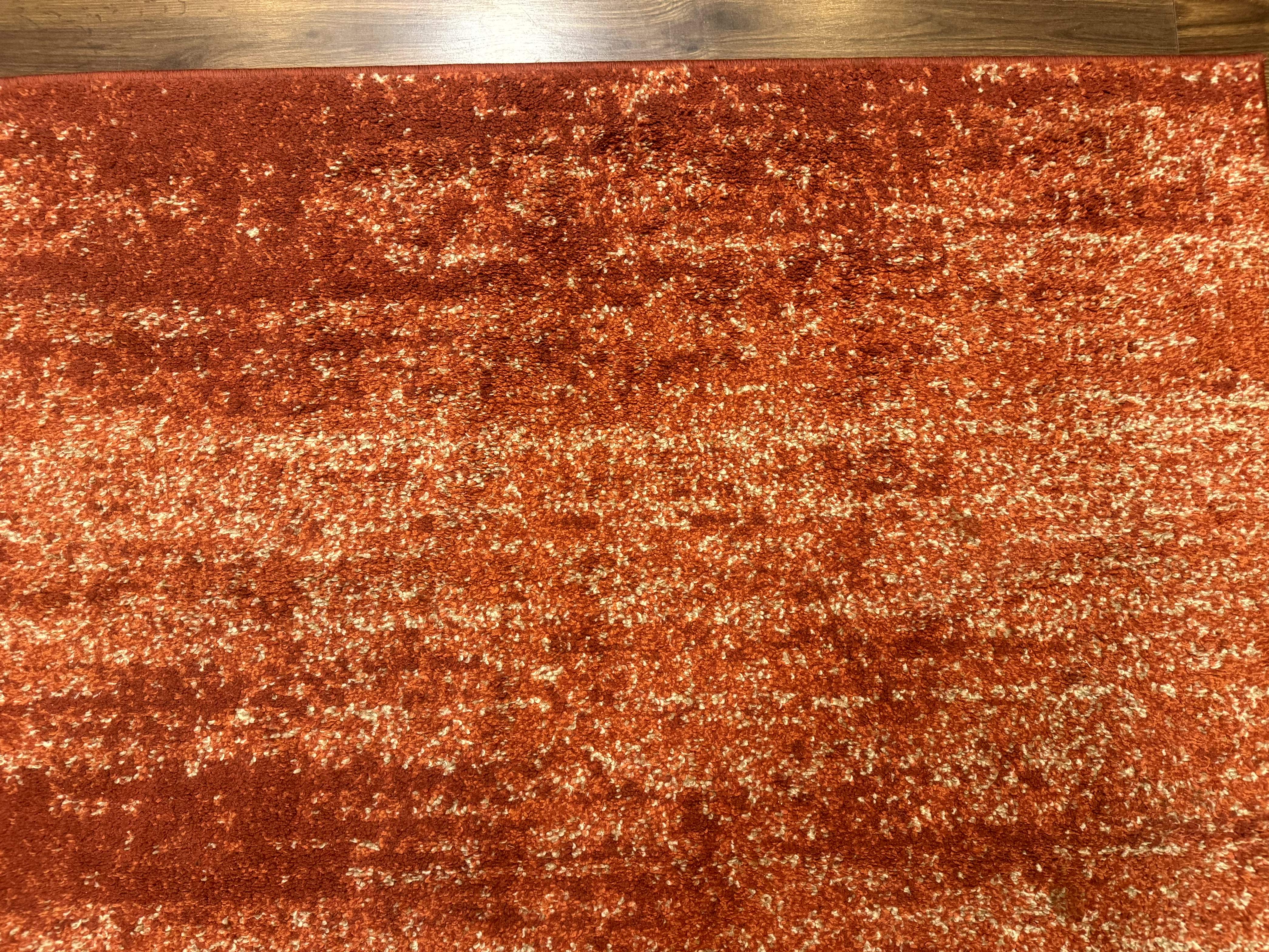 Terracotta Area Rug 4x6 - Image 3